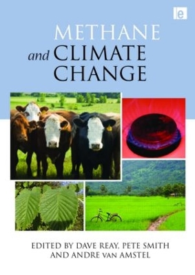 Methane and Climate Change by Dave Reay