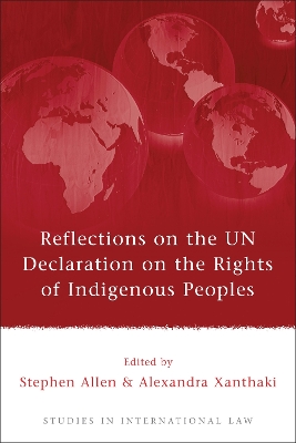 Reflections on the UN Declaration on the Rights of Indigenous Peoples by Stephen Allen