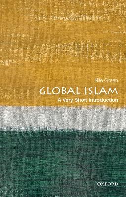 Global Islam: A Very Short Introduction book