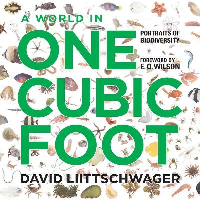 World in One Cubic Foot book