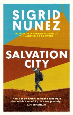Salvation City book