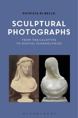 Sculptural Photographs book