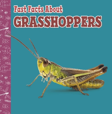 Fast Facts About Grasshoppers by Julia Garstecki-Derkovitz