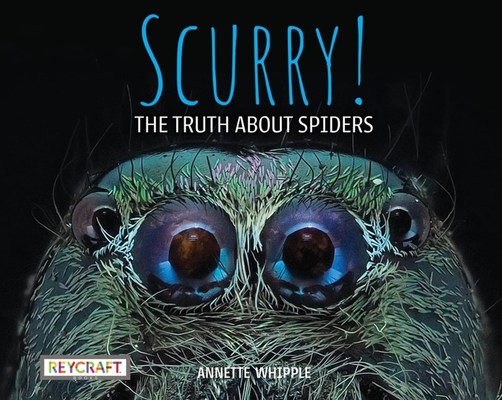 Scurry!: The Truth about Spiders by Annette Whipple