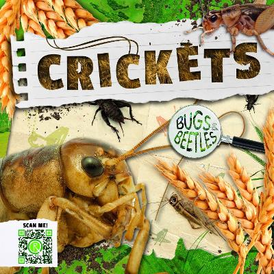 Crickets by William Anthony