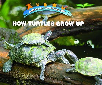 How Turtles Grow Up by Linda Bozzo