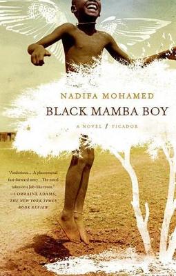 Black Mamba Boy book