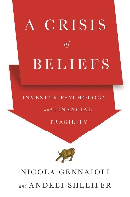 A Crisis of Beliefs: Investor Psychology and Financial Fragility book