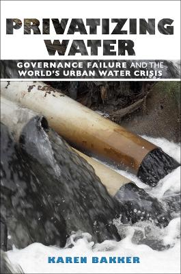 Privatizing Water: Governance Failure and the World's Urban Water Crisis book