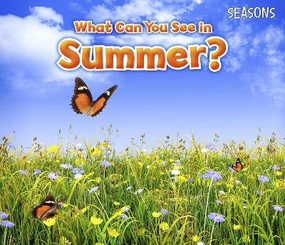 What Can You See In Summer? book