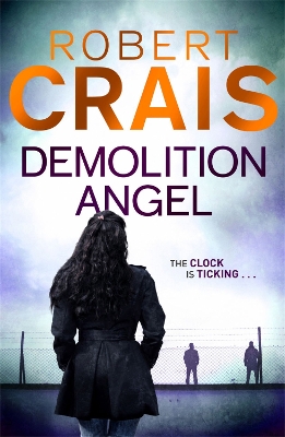 Demolition Angel book