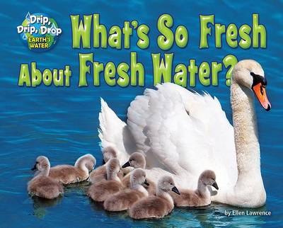 What's So Fresh about Fresh Water? book