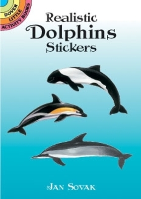 Realistic Dolphins Stickers book