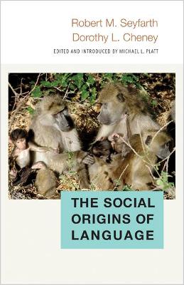 Social Origins of Language book