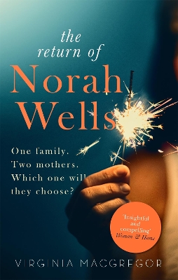 Return of Norah Wells book