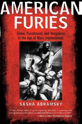 American Furies: Crime, Punishment, and Vengeance in the Age of Mass Imprisonment book