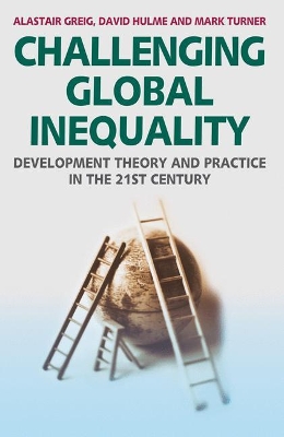 Challenging Global Inequality book