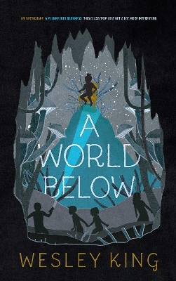 A World Below book