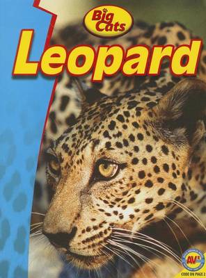 Leopard by Steve Goldsworthy