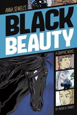 Black Beauty book