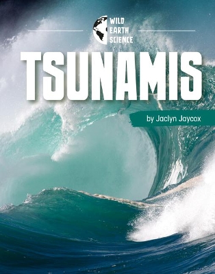 Tsunamis book