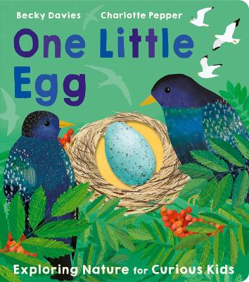 One Little Egg book