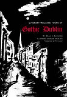 Literary History of Gothic Dublin book