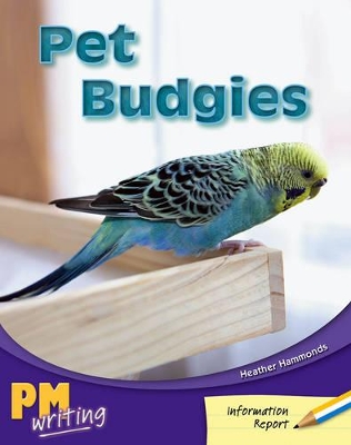 Pet Budgies book