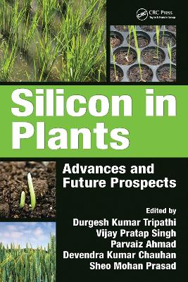 Silicon in Plants: Advances and Future Prospects by Durgesh Kumar Tripathi