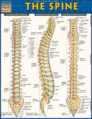 The Spine book