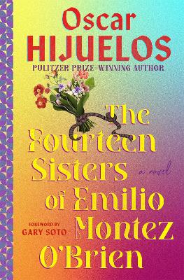 The Fourteen Sisters of Emilio Montez O'Brien: A Novel book