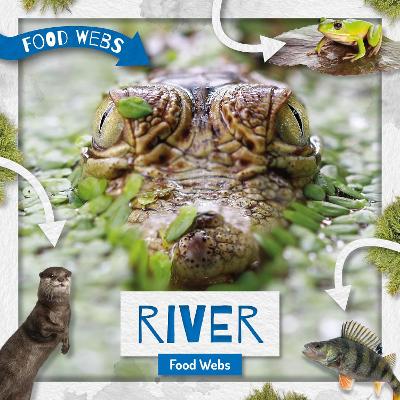 River Food Webs book