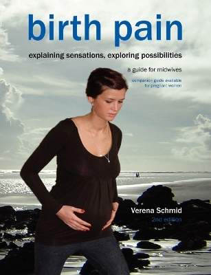 Birth Pain: Explaining Sensations, Exploring Possibilities book