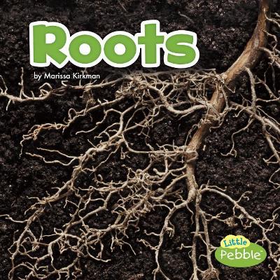 Roots (Plant Parts) by Marissa Kirkman