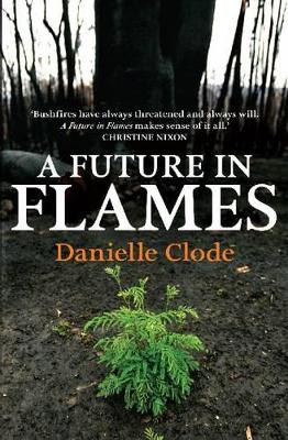 Future In Flames, A book