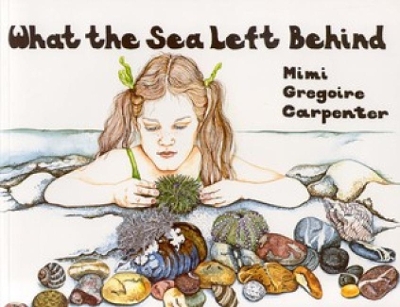 What the Sea Left behind book