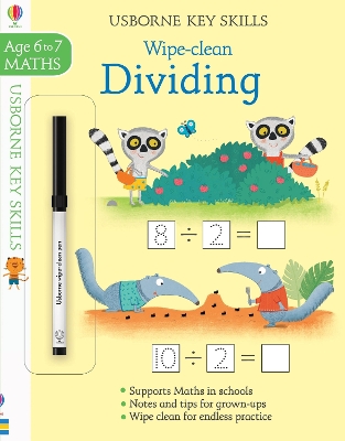 Wipe-clean Dividing 6-7 book