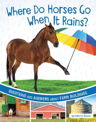 Where Do Horses Go When It Rains? book