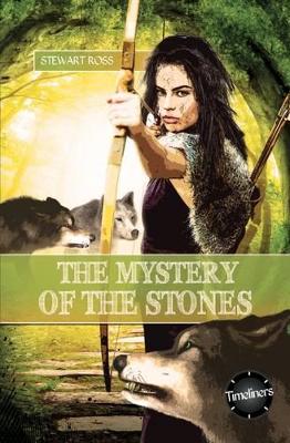 The Mystery of the Stones book