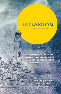 Skylarking book