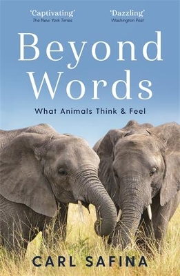 Beyond Words: What Animals Think and Feel book