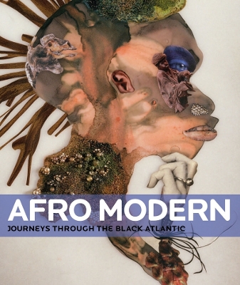 Afro-Modernism: Journeys through the Black Atlantic book