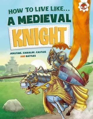 Medieval Knight book