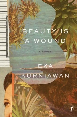 Beauty is a Wound book