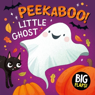 Peekaboo! Little Ghost: Big Flaps! book