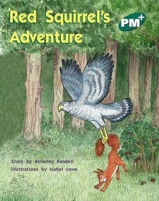Red Squirrel's Adventure book