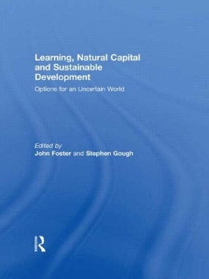 Learning, Natural Capital and Sustainable Development book