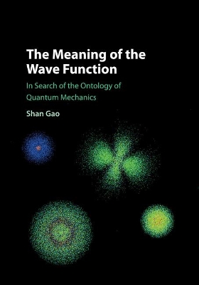 The Meaning of the Wave Function by Shan Gao