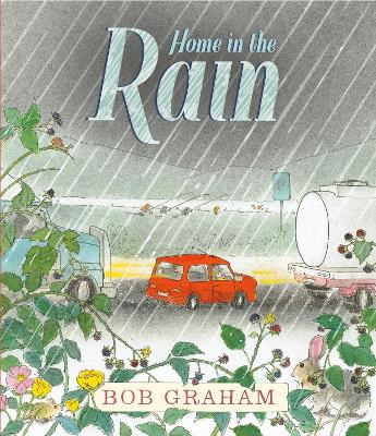 Home in the Rain book