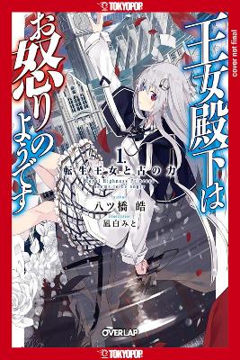 Her Royal Highness Seems to Be Angry, Volume 1 (Light Novel) book